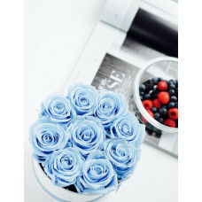 BLYE ROSES