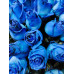 BLUE ROSES BOX BLUE ROSES BOX