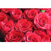 RED ROSES